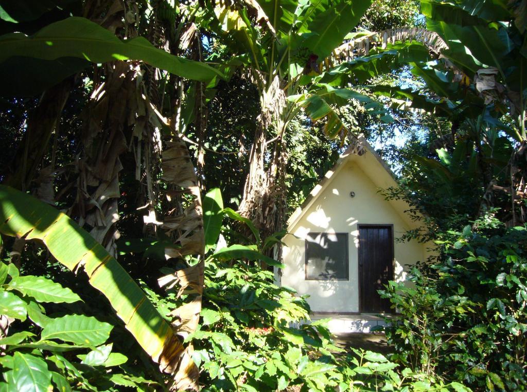 Chales Sitio Do Alemao Ubajara Exterior photo