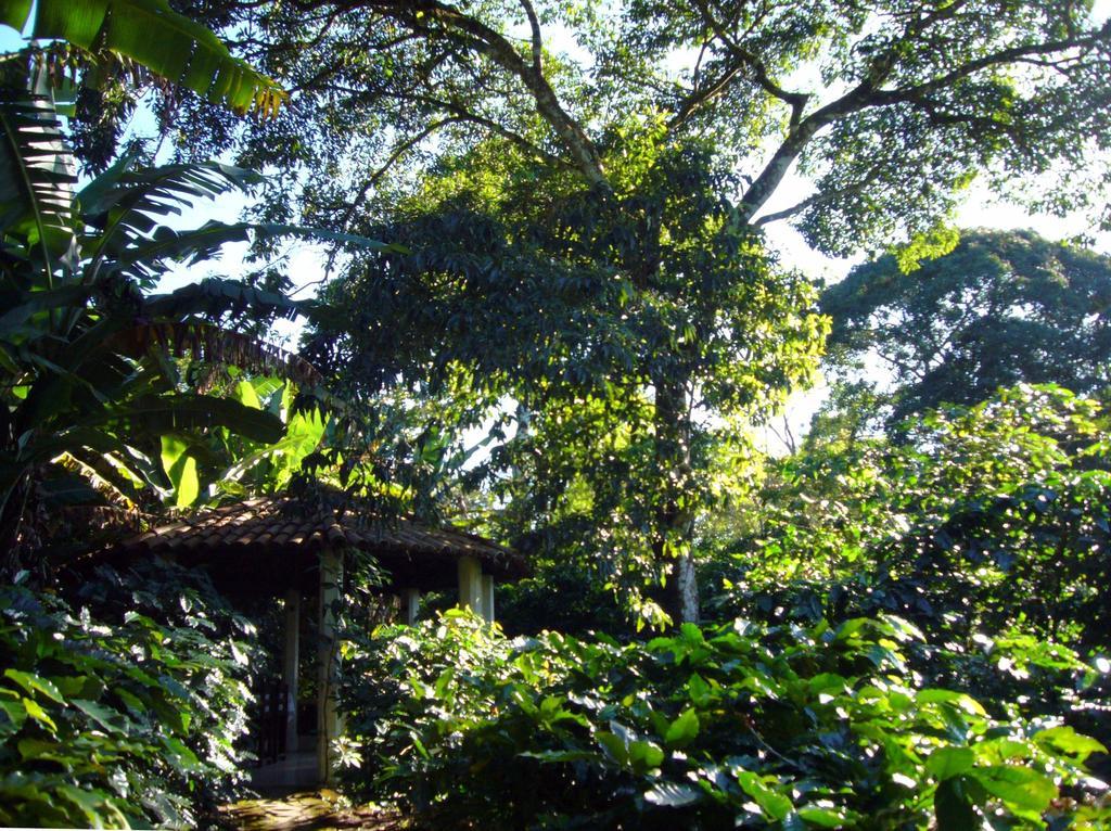 Chales Sitio Do Alemao Ubajara Exterior photo